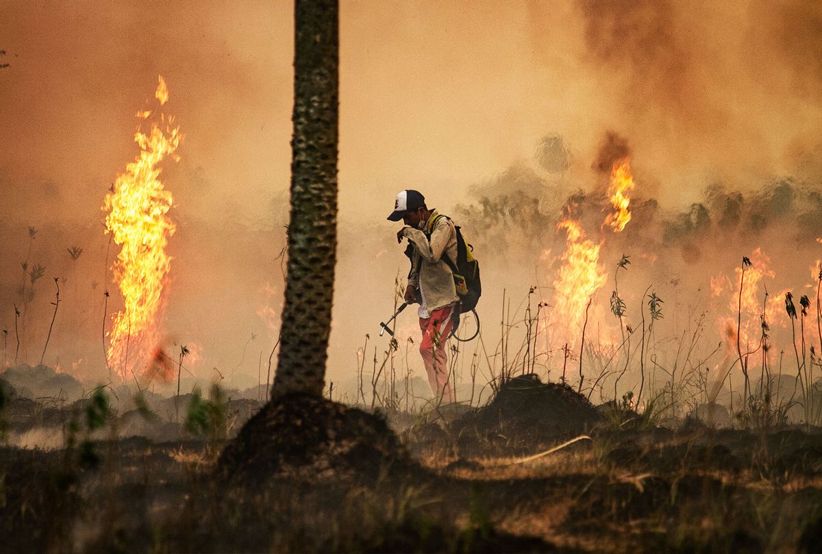 Firefighters and volunteers try to contain the flames destroying forests and wildlife in Corrientes, Argentina on February 19, 2022. (Joaquin Meabe/Anadolu Agency via Getty Images)