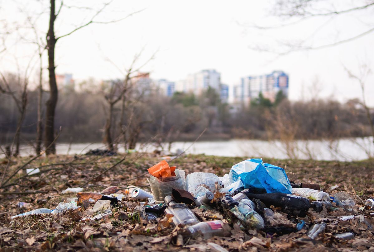 A lot of garbage in the forest on the background of modern high-rise buildings (Getty Images/PavelKant)