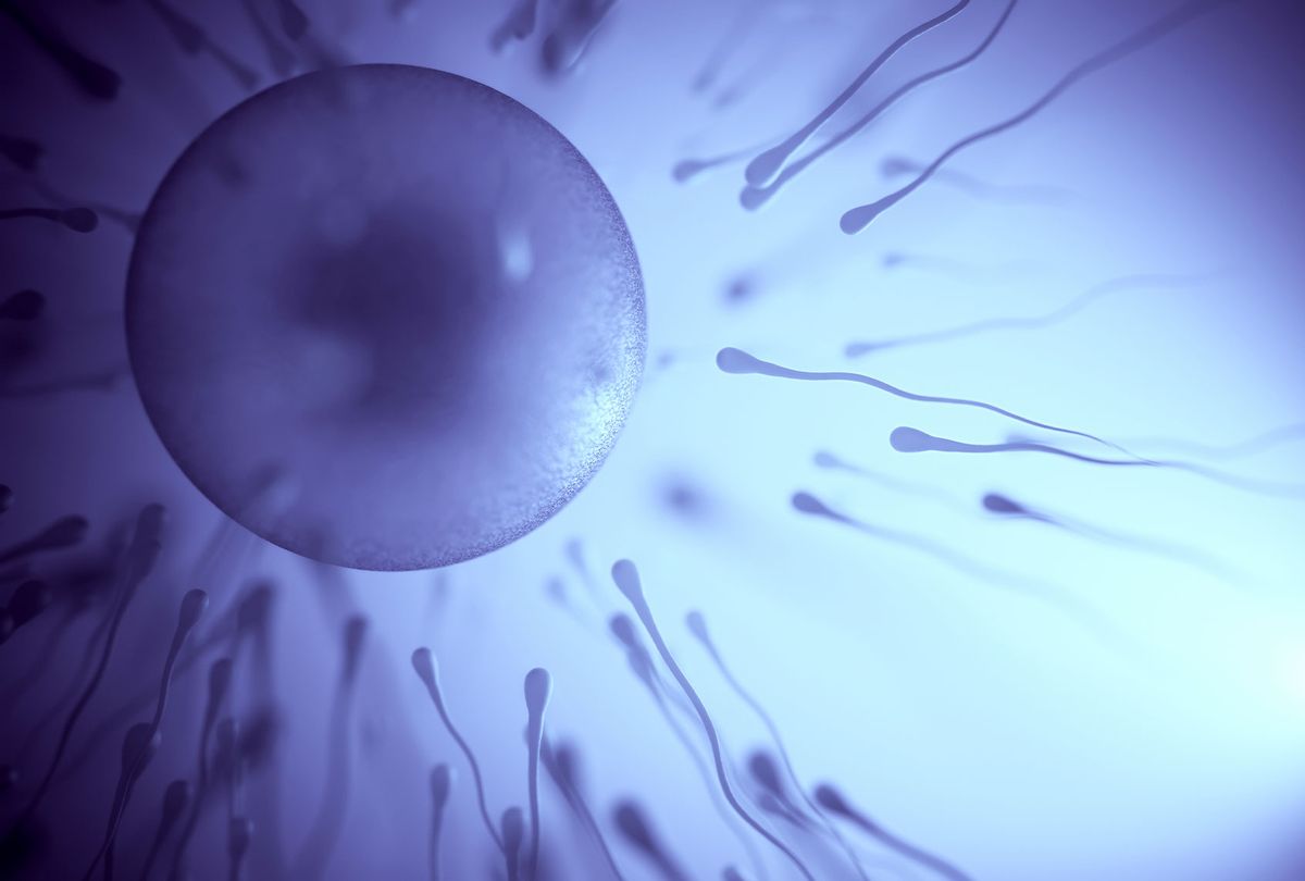 Sperm surrounding egg, illustration (Getty Images/KTSDESIGN/SCIENCE PHOTO LIBRARY)