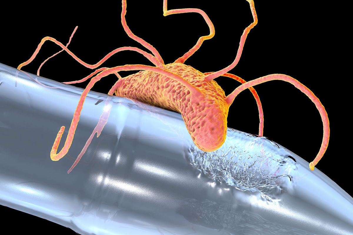 Plastic-degrading bacteria Ideonella sakaiensis, 3D illustration (Getty Images/Dr_Microbe)