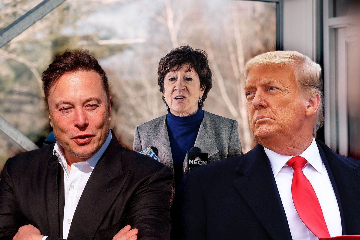 Susan Collins, Elon Musk and Donald Trump (Photo illustration by Salon/Getty Images)