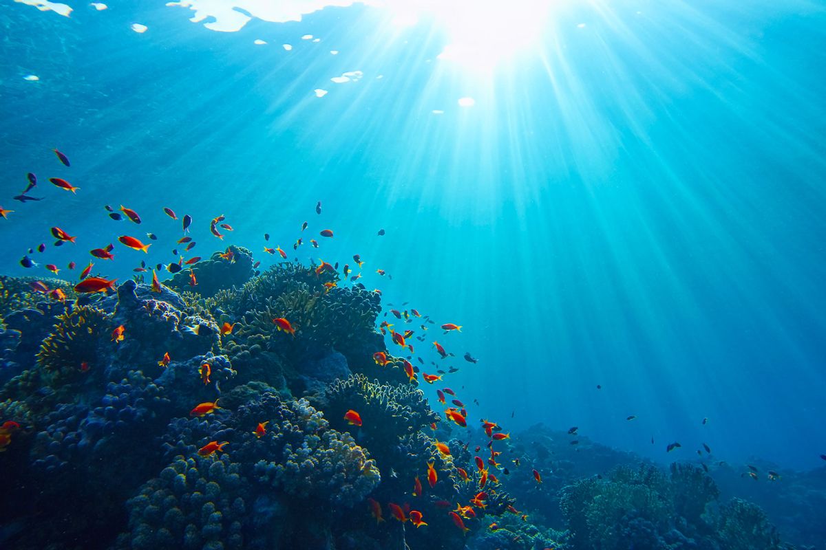 Sun beams shinning underwater on the tropical coral reef (Getty Images/Tunatura)