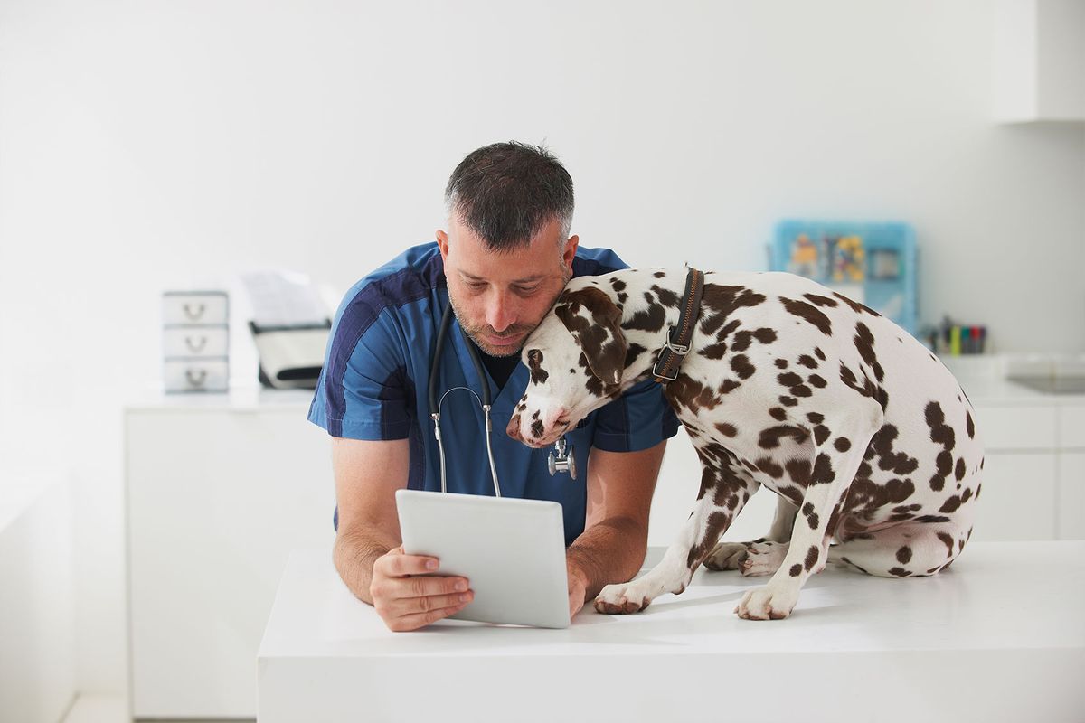 Veterinarian cuddling dog (Getty Images/LWA/Dann Tardif)