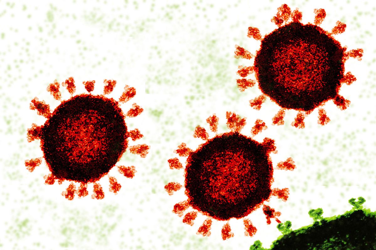 Illustration based on a transmission electron micrograph (TEM) of a SARS-CoV-2 coronavirus (red) (Getty Images/JUAN GAERTNER/SCIENCE PHOTO LIBRARY)