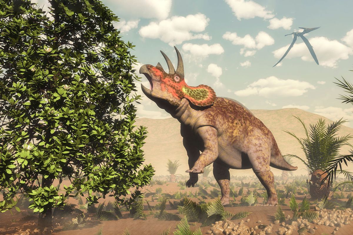 The delicate evolutionary dance of dinosaurs and ancient plants 