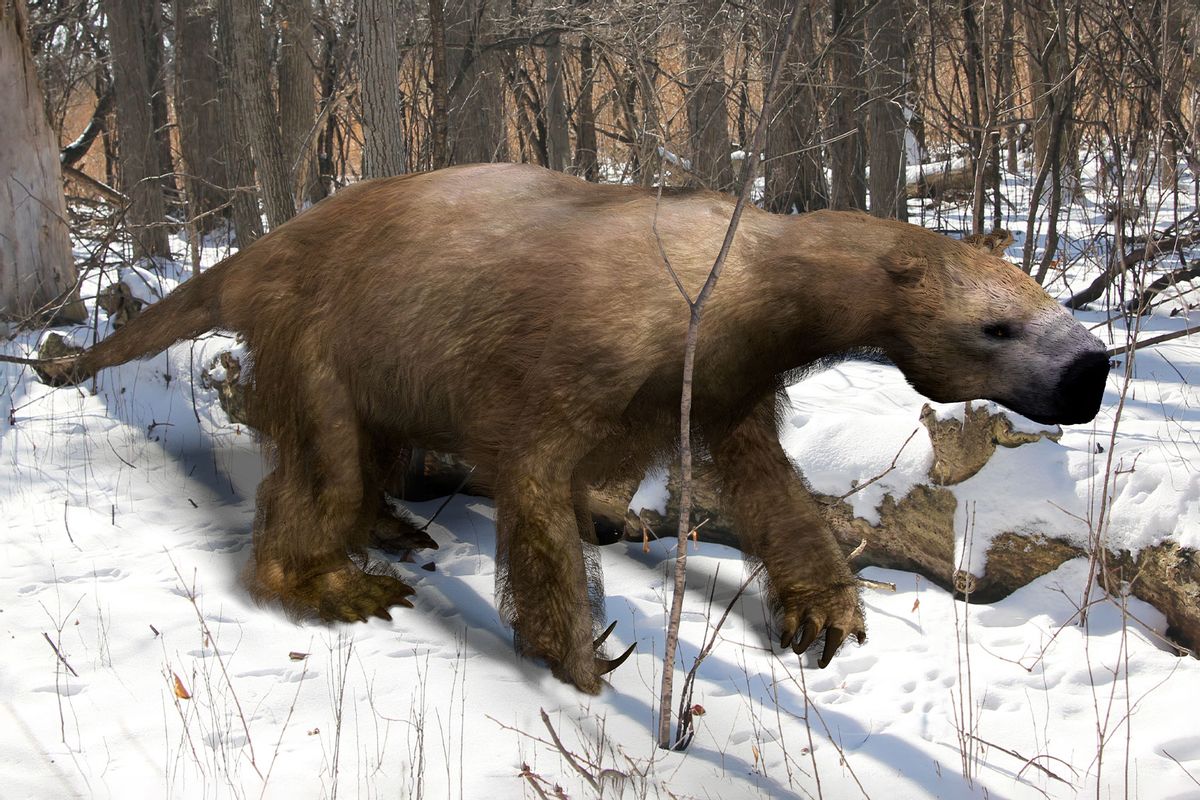 An illustration of the extinct giant ground sloth Megalonyx slowing mmaking his way through an Ice Age Ohio forest. (Getty Images/Aunt_Spray)