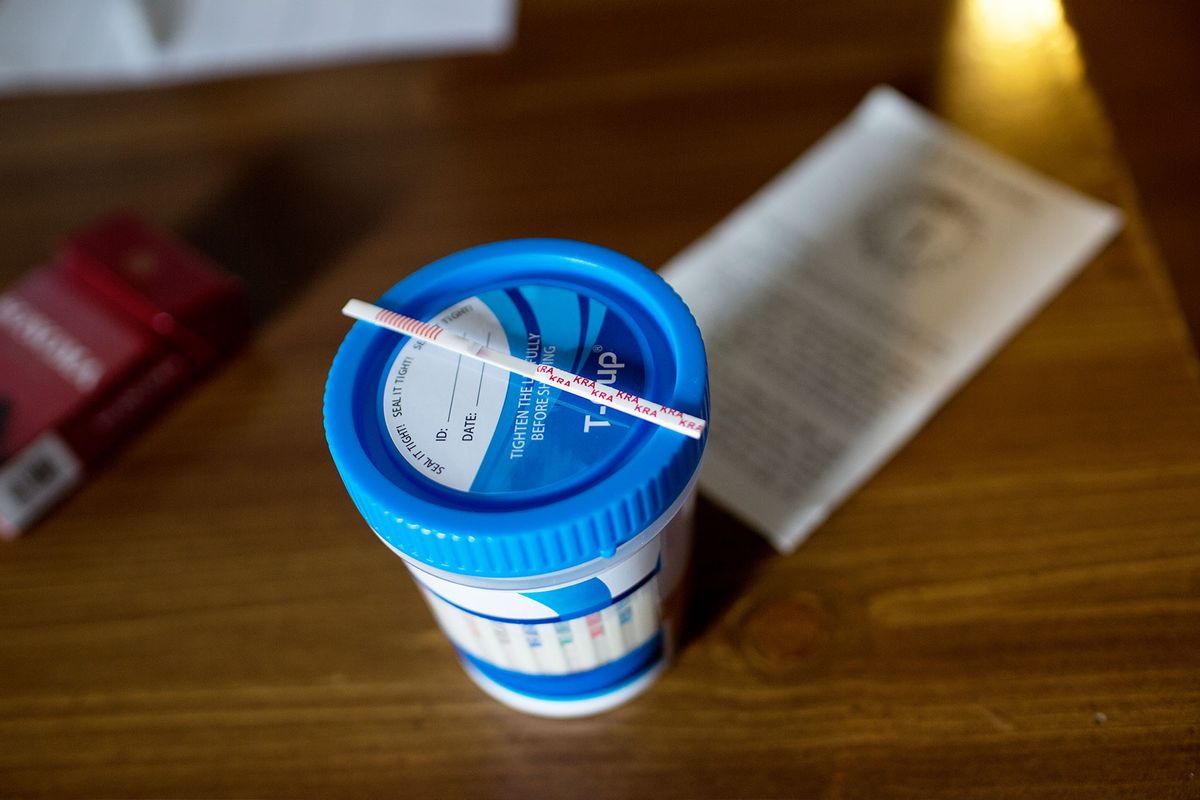 At a half way house for recovering addicts, supervisors who are in recovery themselves use a fentanyl strip to test for drugs in the urine of a fellow resident on March 22, 2019. (Andrew Lichtenstein/Corbis via Getty Images)