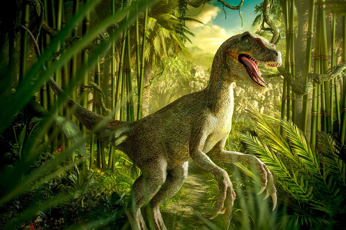Velociraptor dinosaur in lush green jungle (Getty Images/Chris Clor)