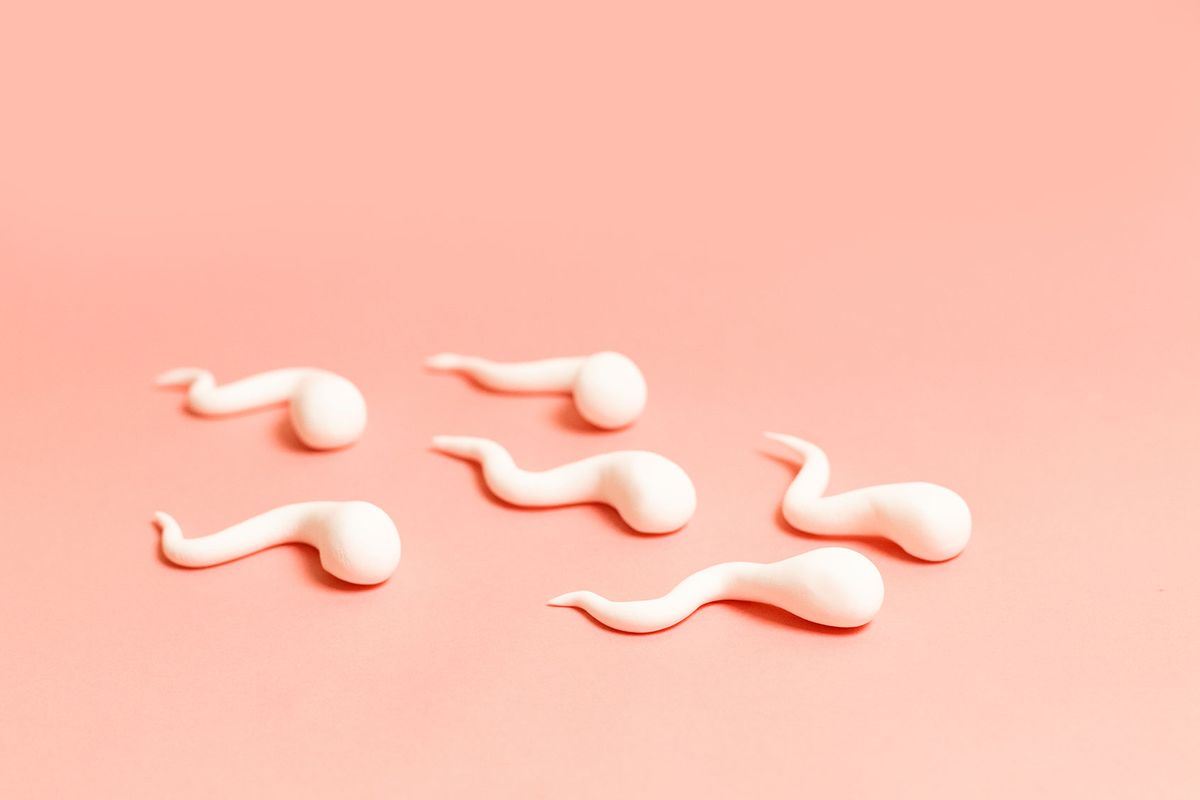 Sperm (Getty Images/Irina Shatilova)