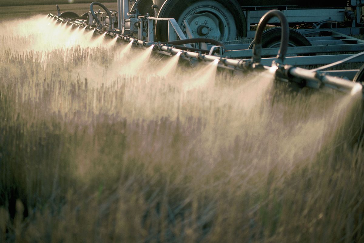 Nozzles Spraying Herbicide on Field (Getty Images/Richard Hamilton Smith)
