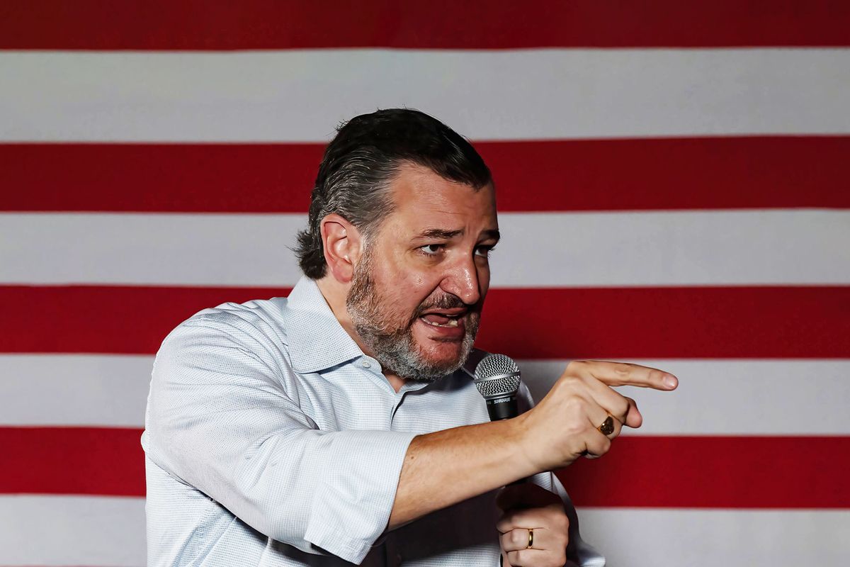 Texas Senator Ted Cruz (Aimee Dilger/SOPA Images/LightRocket via Getty Images)