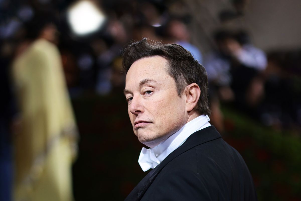 Elon Musk (Dimitrios Kambouris/Getty Images for The Met Museum/Vogue)