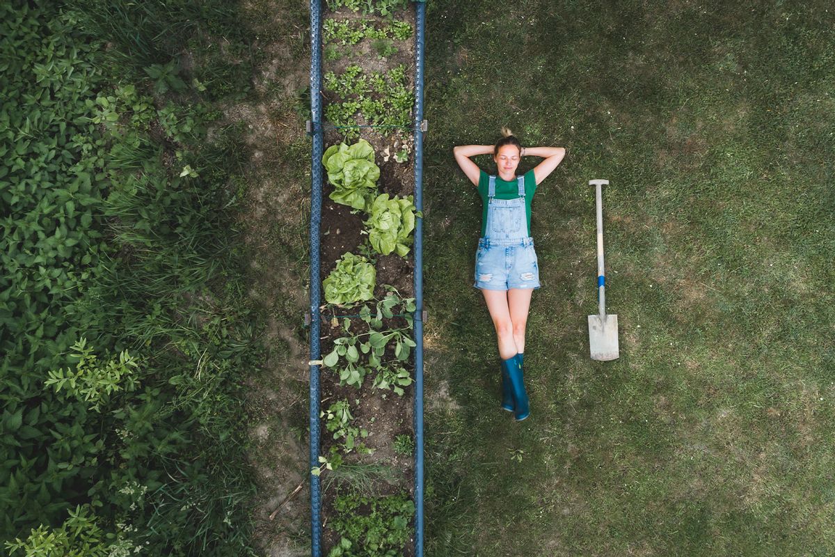 Aerial view of woman lying by raised bed on land in yard (Getty Images/Westend61)