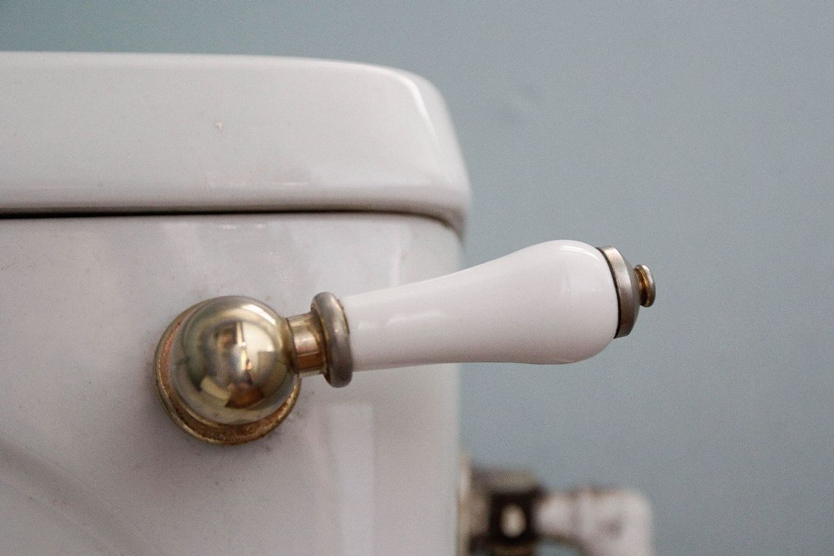 Toilet flush handle (Getty Images/Kinga Krzeminska)