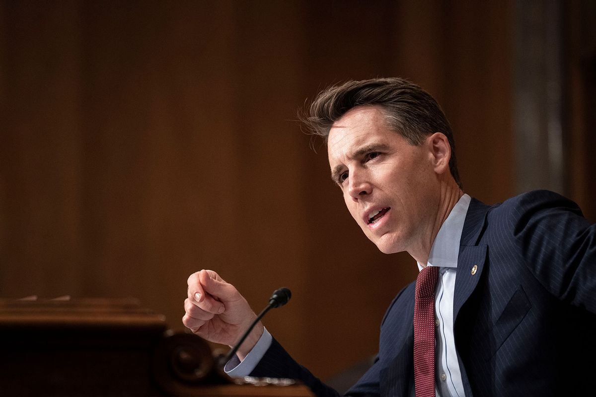 Sen. Josh Hawley (R-MO) speaks during a Senate Homeland Security Subcommittee on Emerging Threats and Spending Oversight on Capitol Hill August 3, 2022 in Washington, DC. (Drew Angerer/Getty Images)