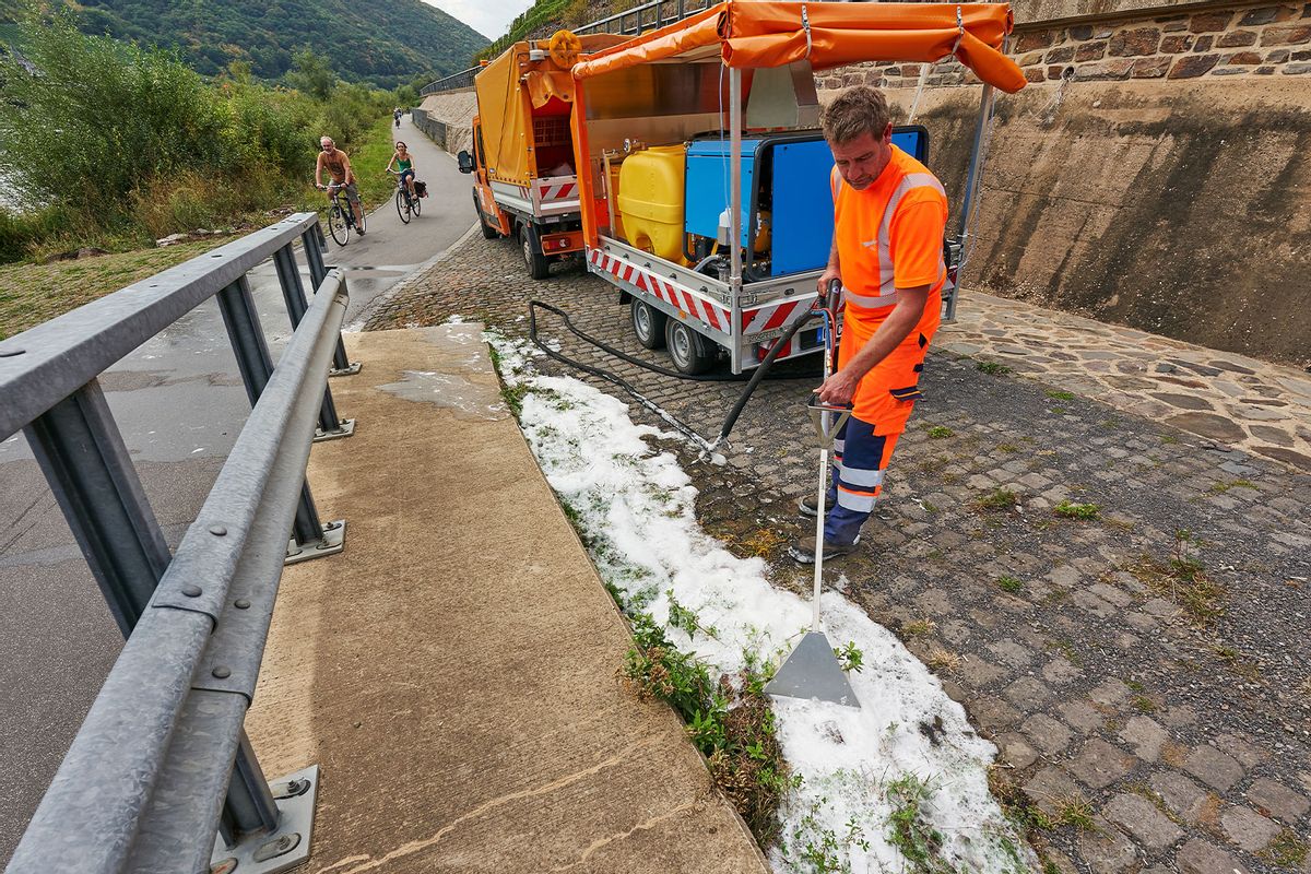 A road guard removes weeds from the edge of a cycle path using a hot foam machine. (Thomas Frey/picture alliance via Getty Images)