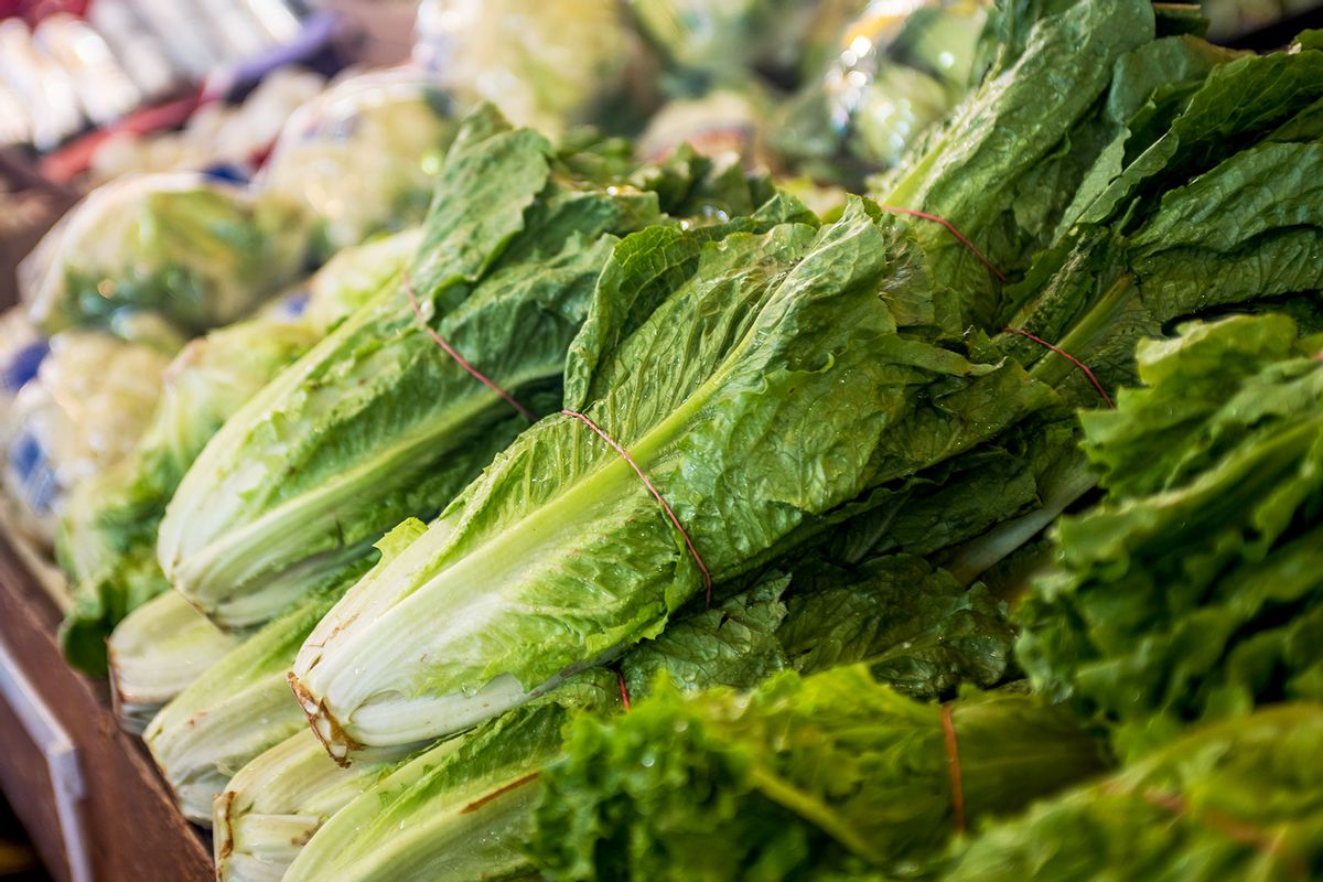 Romaine lettuce (Getty Images/Manjurul)