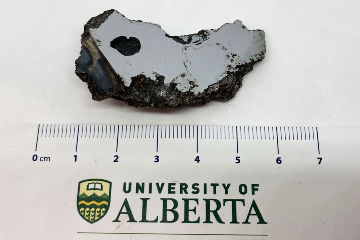 A slice of the El Ali meteorite (Courtesy of University of Alberta Meteorite Collection)