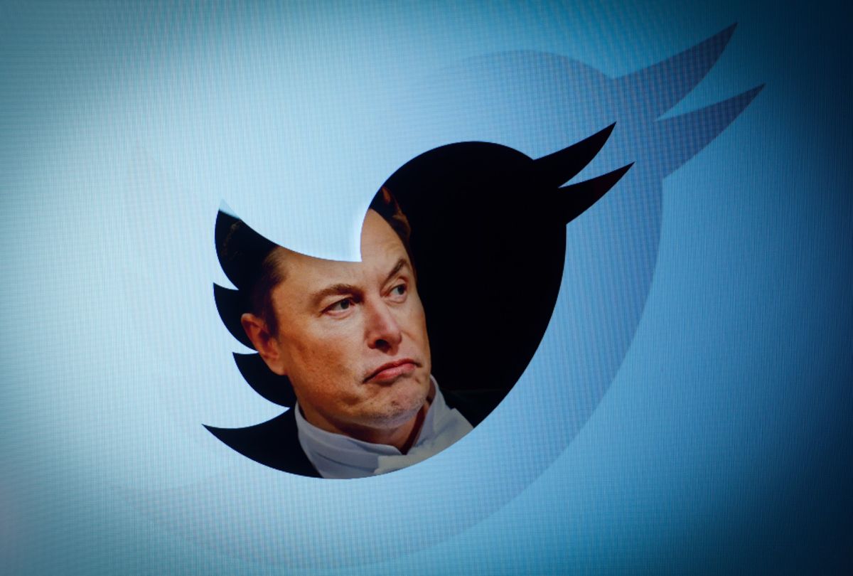 Twitter owner Elon Musk is seen with a Twitter logo in photo illustration. (STR/NurPhoto via Getty Images)