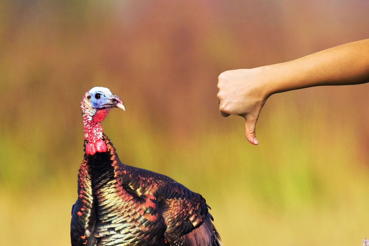 thumbs up turkey