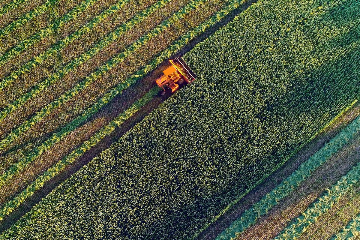 Agricultural harvesting at the last light of day, aerial view (Getty Images/JamesBrey)