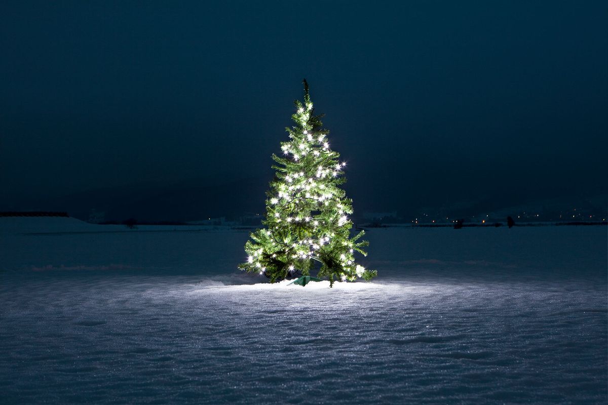 Illuminated Christmas tree on the snow at night (Getty Images/sot)