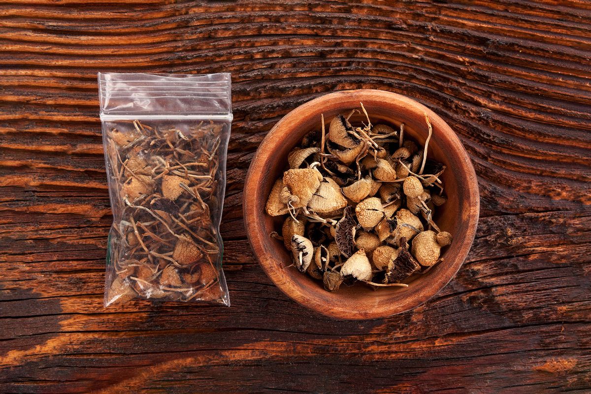 Dry psilocybin magic mushrooms in a plastic bag and wooden bowl (Getty Images/eskymaks)