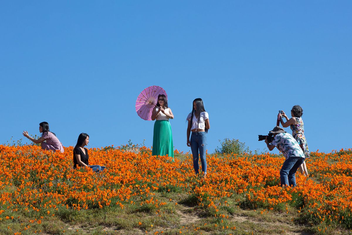 Tourists could ruin California’s once-in-a-decade "superbloom"