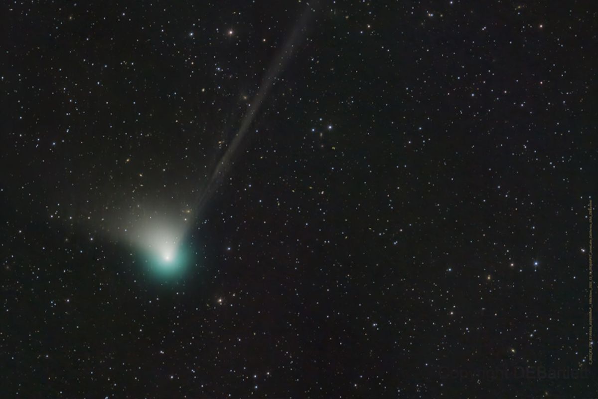 Comet C/2022 E3 (ZTF) was discovered by astronomers using the wide-field survey camera at the Zwicky Transient Facility this year in early March. (NASA/Dan Bartlett)