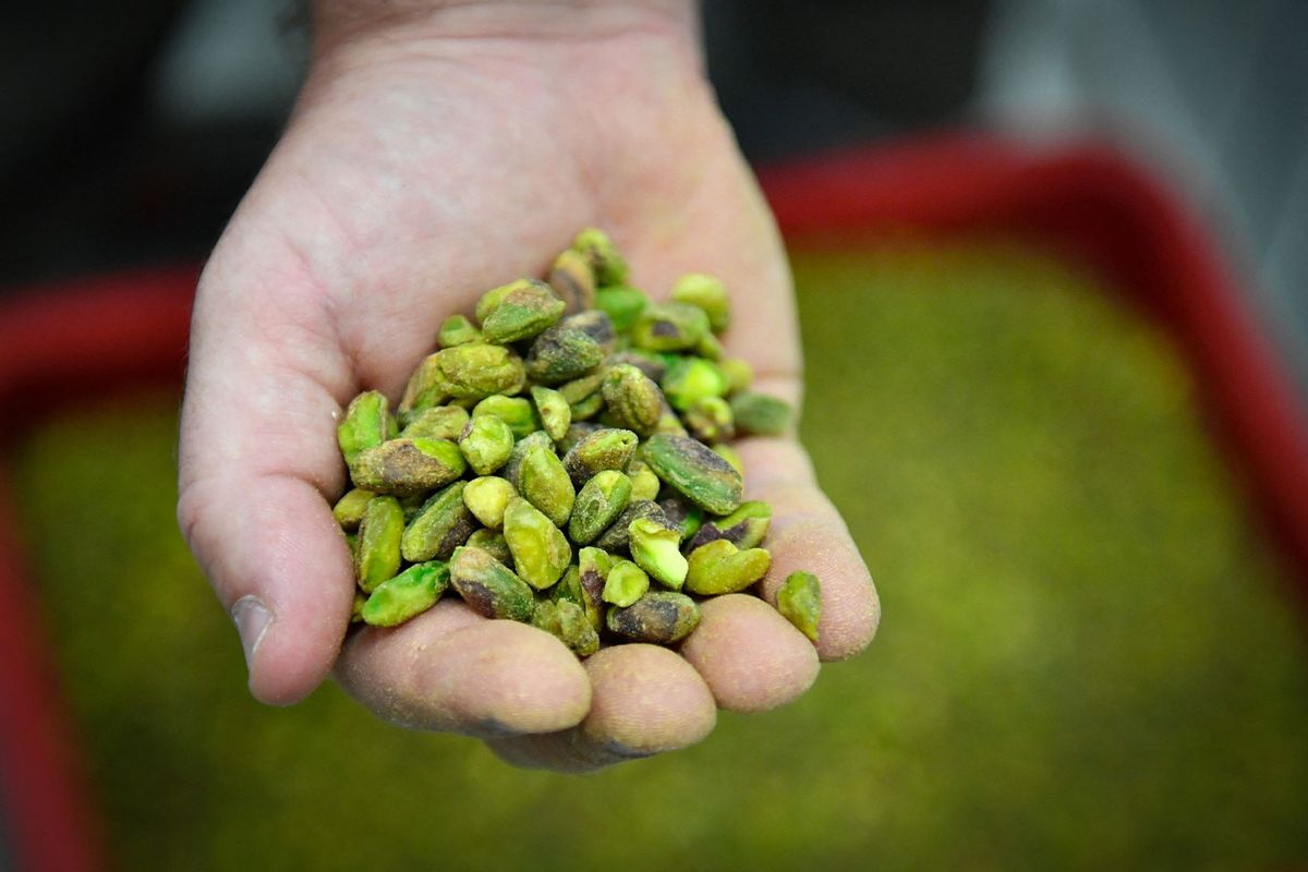 NextImg:Where do the best-tasting pistachios come from?