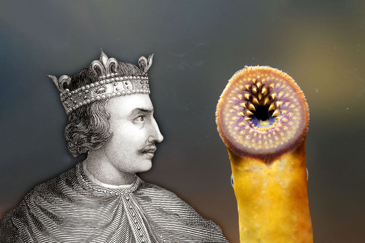 King Henry I and a Lamprey (Photo illustration by Salon/Getty Images)