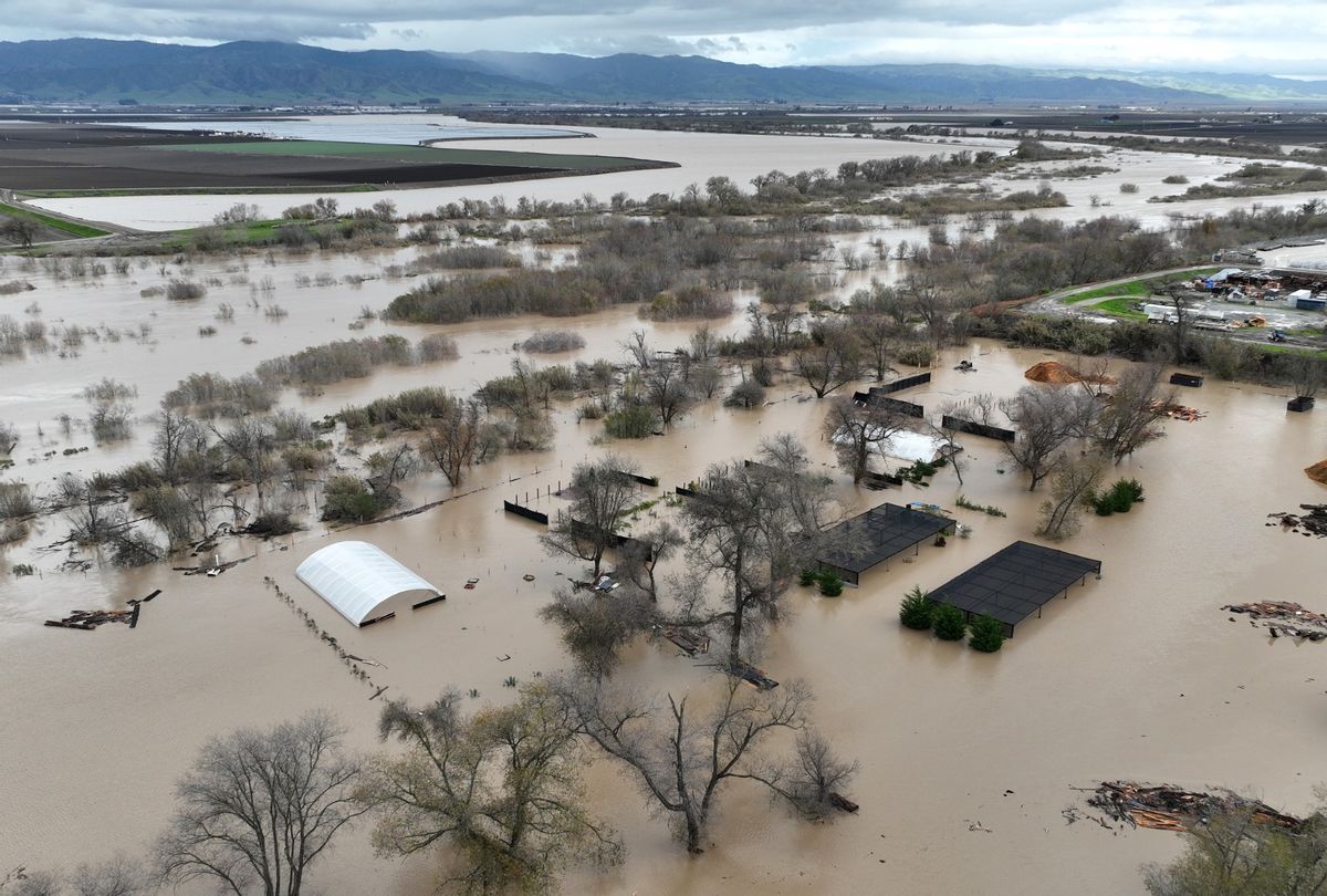 In an aerial view, floodwaters cover an agricultural area after the Salinas River overflowed its banks on January 13, 2023 in Salinas, California.  (Justin Sullivan/Getty Images)
