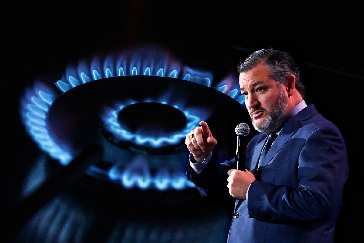 Ted Cruz | Gas stove fire (Photo illustration by Salon/Getty Images)