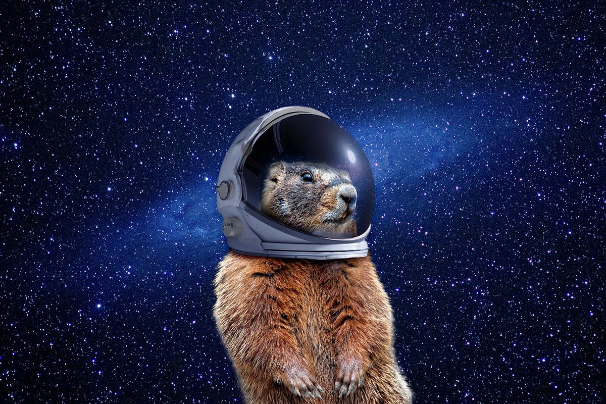 Why Groundhog Day has its roots in astronomy — Salon | Vermont Folk Troth