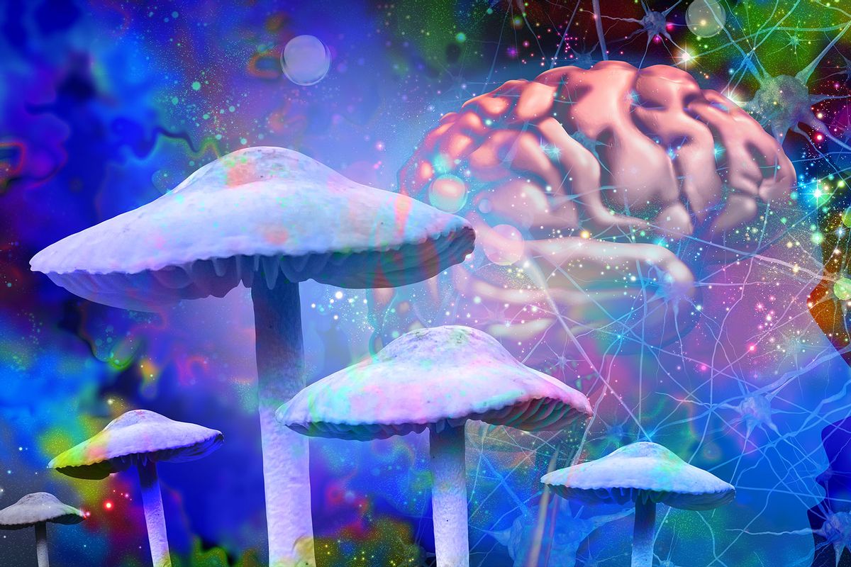 New research illuminates how the human brain creates its own psychedelic drugs