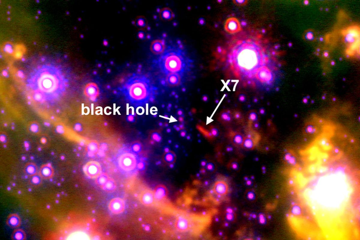 NextImg:Astronomers are racing to study X7 before the Milky Way's central black hole destroys it