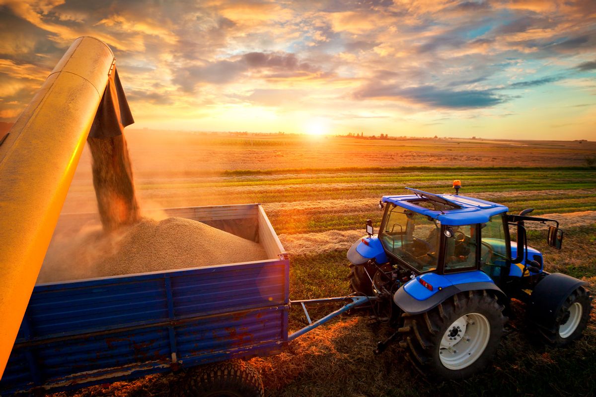 Combine Harvester and tractor (Getty Images/Avalon_Studio)