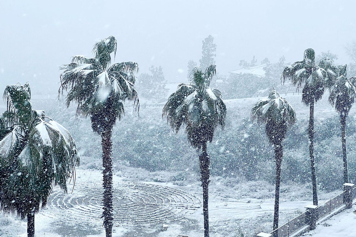 Despite Record Breaking Snow And Rain California Is Still In A Drought   Snow California Palm Trees Blizzard 1247484415 