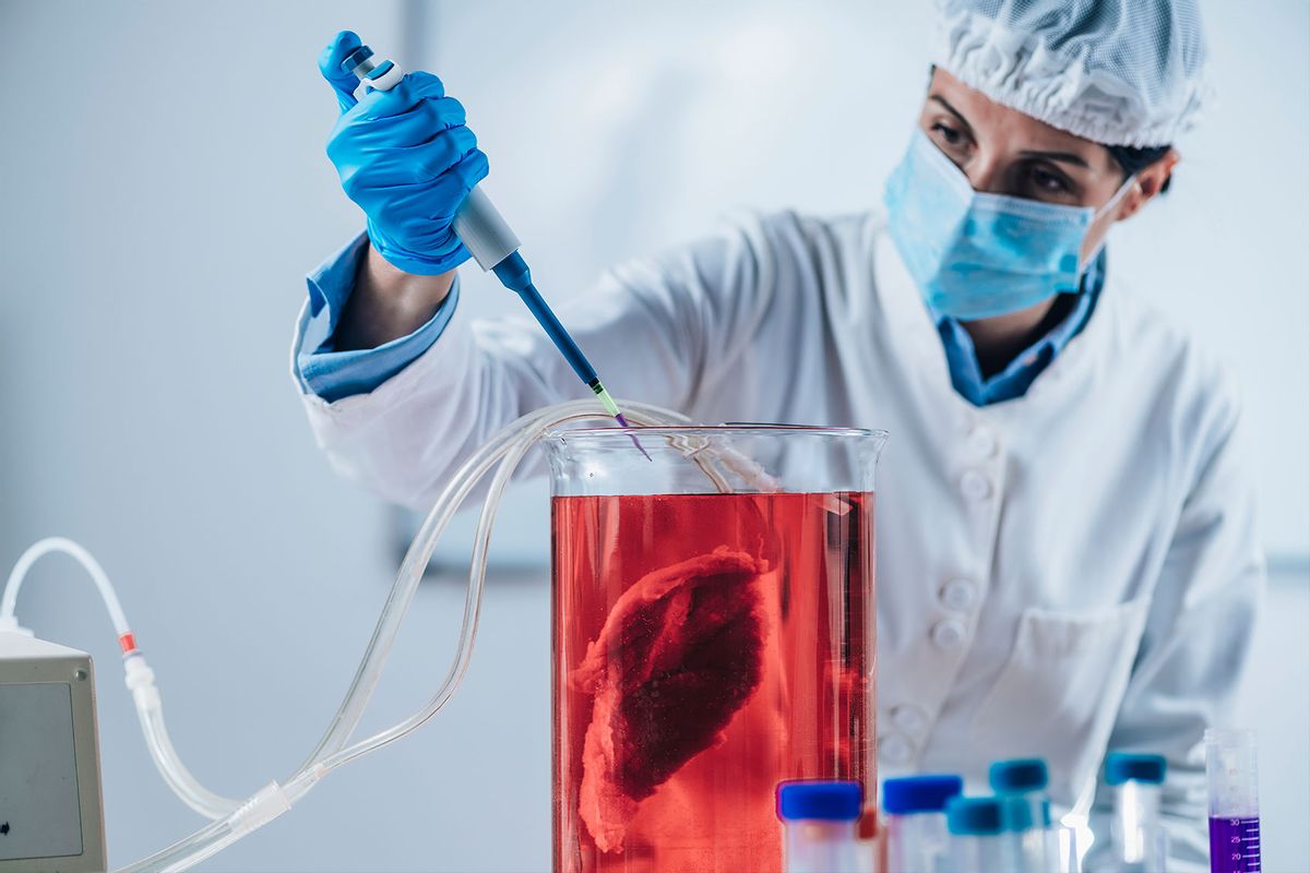 NextImg:Italy is set to ban lab-grown meat — here’s why that might be a mistake