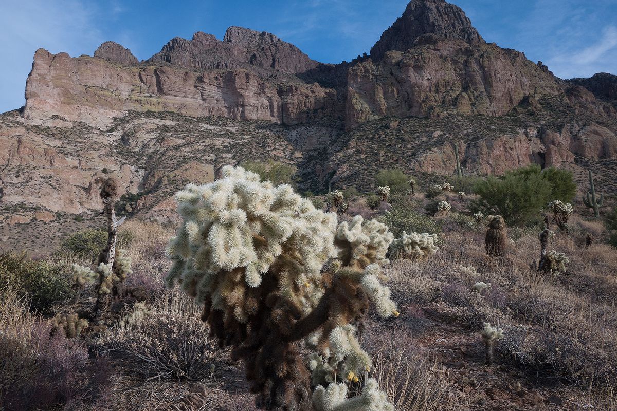 NextImg:Biden administration pauses copper mining project on Oak Flat, a sacred Apache site