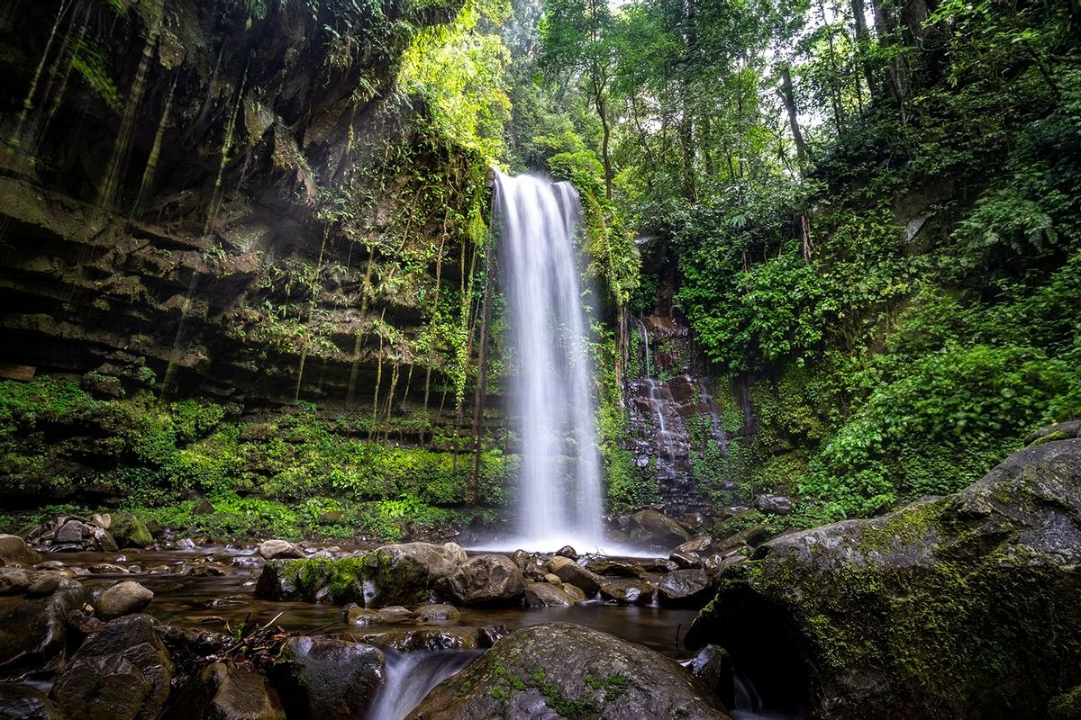 Waterfall in Green Forest (Getty Images/Constantine Johnny)