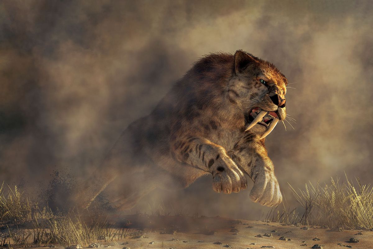 NextImg:Catastrophic fires 13,000 years ago drove mass extinctions — and humans may have lit the match