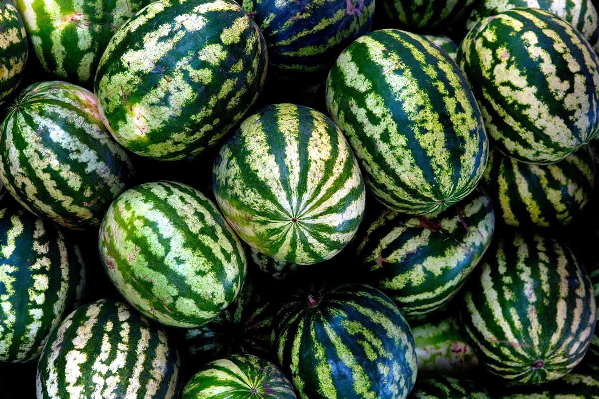 Love watermelons? This summer, be wary of the ones that foam and explode (salon.com)