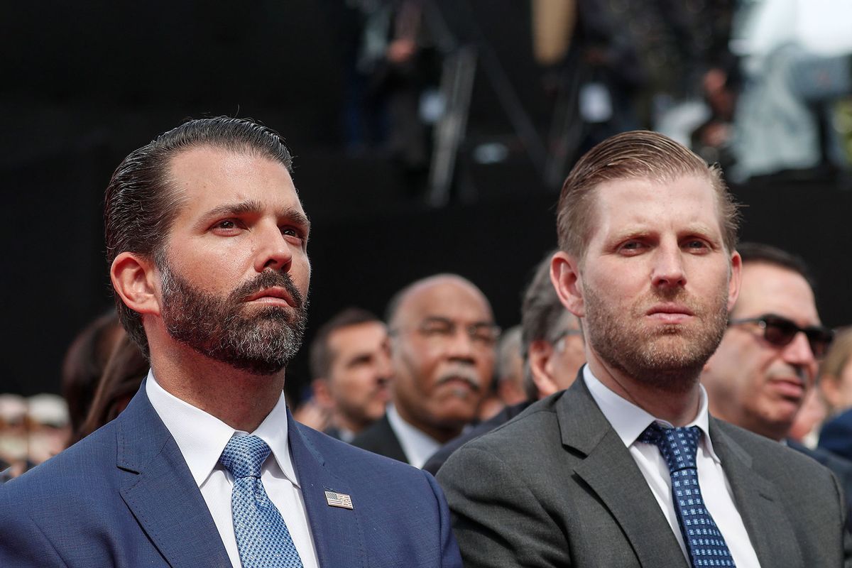 MSNBC panel predicts Trump may throw his idiot sons under the bus in $250  million NY AG lawsuit
