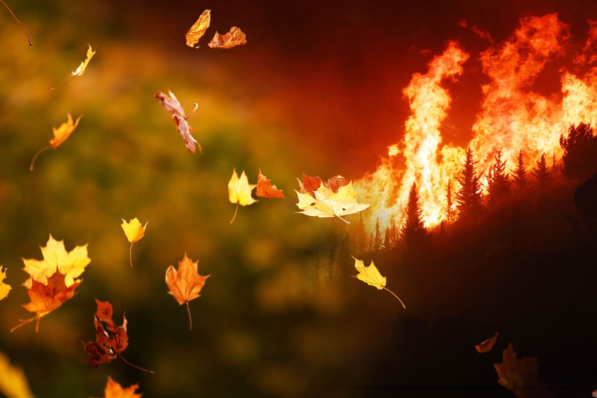 Autumn leaves into wildfire (Photo illustration by Salon/Getty Images)