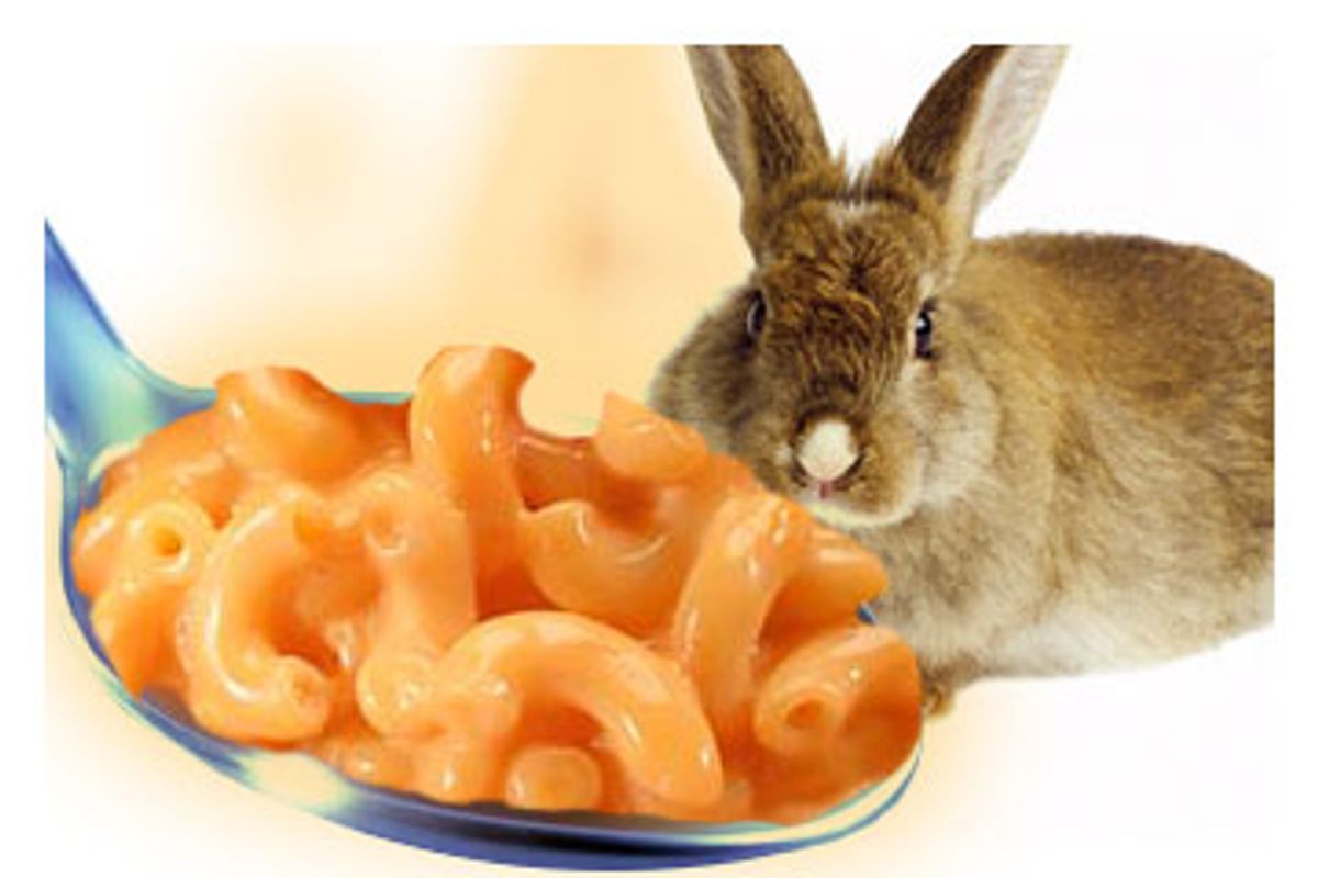 Exploited moms bunny