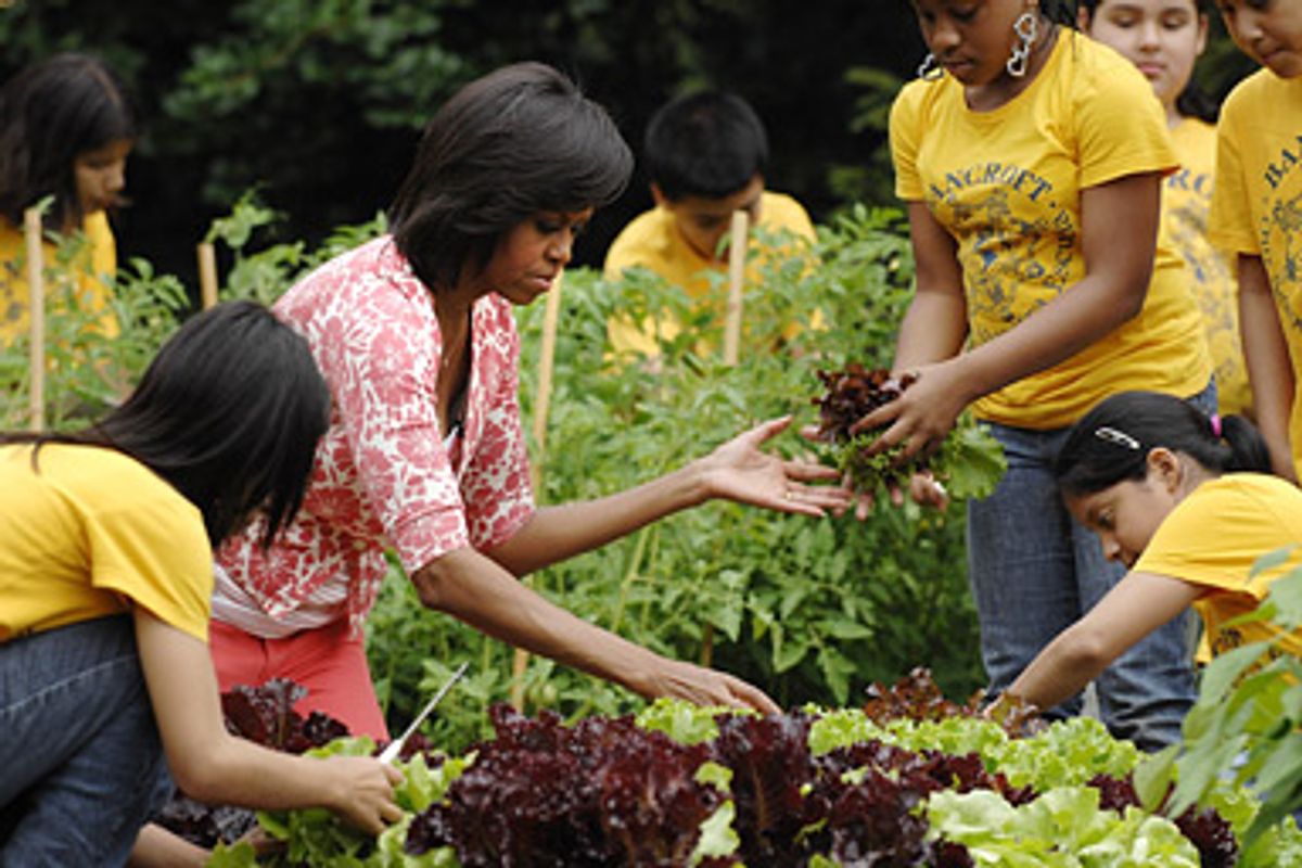 U.S. first lady Michelle Obama cuts lettuce with students from Bancroft Elementary School as they harvest vegetables from her garden at the White House in Washington June 16, 2009.