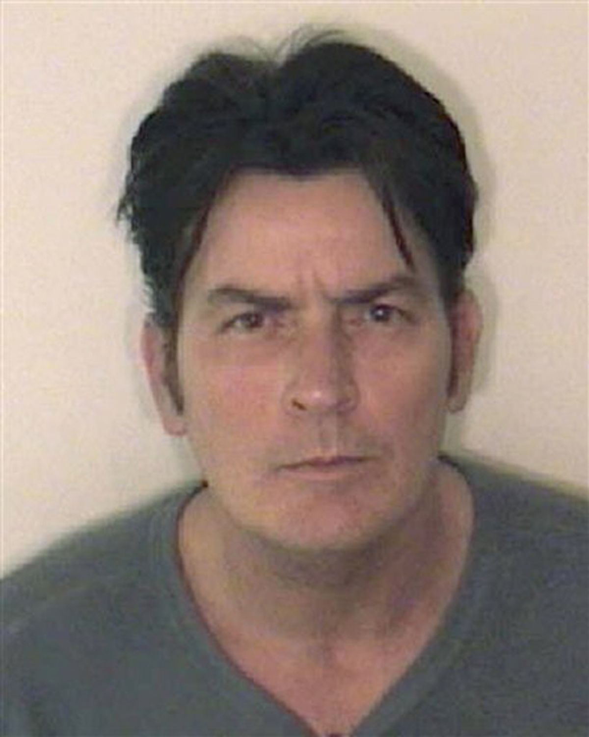 This picture provided by the Aspen Police Department on Friday, Dec. 25, 2009 shows Charlie Sheen. Sheen has been arrested in Aspen, Colo. on charges related to an alleged case of domestic violence. Authorities said Sheen was arrested Friday on charges of second-degree assault as well as menacing, both felonies, and criminal mischief, a misdemeanor. Police said the alleged victim didn't have to be taken to the hospital but didn't identify who the victim was. (AP Photo/Aspen Police Department) (AP)