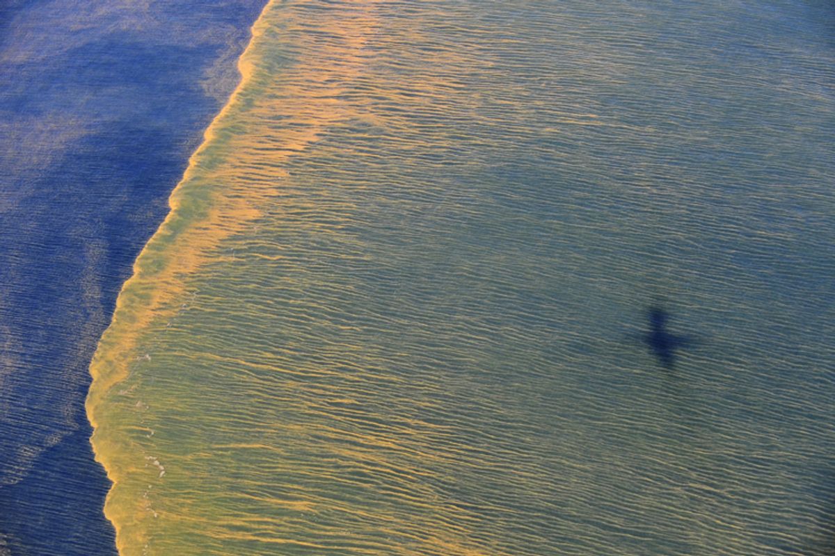 An aerial view of the Deepwater Horizon oil spill off the coast of Mobile, Ala.

    