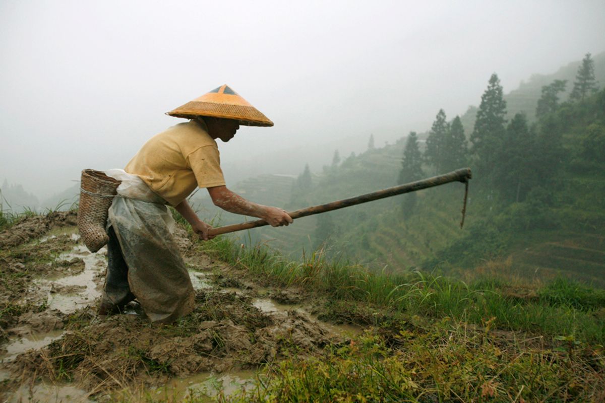 A farmer from the Zhuang ethnic minority works at his rice terrace near Pingan Village in Longsheng in southwest China's Guangxi Zhuang Autonomous Region May 25, 2007. Picture taken May 25, 2007. REUTERS/Nir Elias (CHINA)  (Â© Nir Elias / Reuters)
